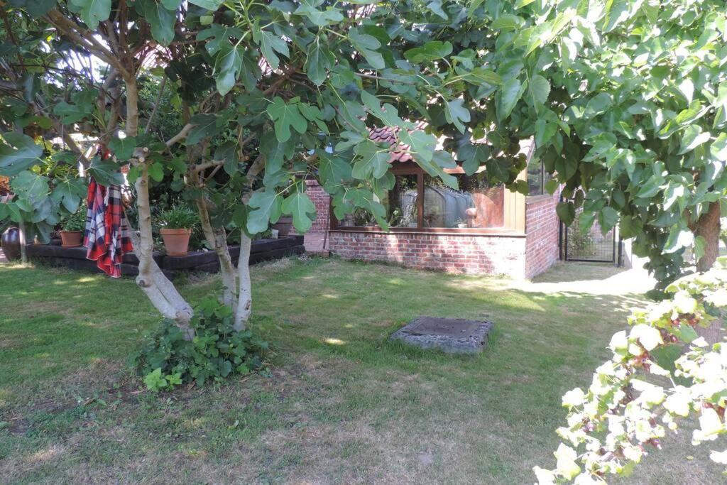 Vakantiewoning Zoetebeek Oudenaarde Exterior photo